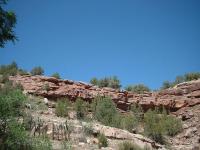 The hills just above the Madison Winery_th.jpg 6.3K